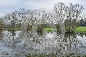 Flooded fields with reflexions near Tewkesbury