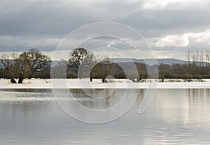 Flooded fields with reflexions near Tewkesbury