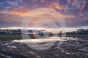 flooded fields on a spring evening