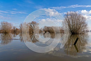 Flooded floodplain of the Waal