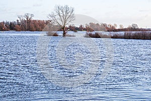 Flooded floodplains of the Dutch IJssel river, Zutphen