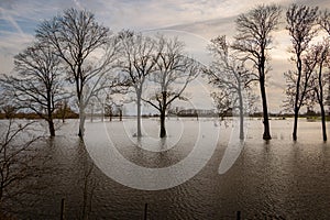 The flooded floodplains and the many hiking trails during weeks of heavy downpour