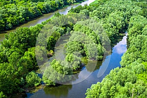 Zatopené lesy u řeky Dunaj, Slovensko