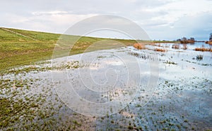 Flooded grass next to a