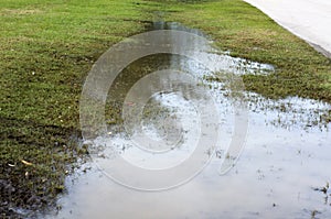 Flooded grassland at roadside in bonita springs florida photo