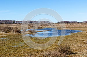 Flooded great alvar plain