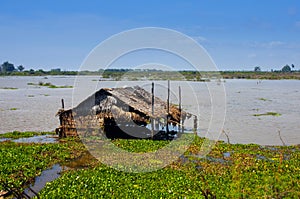 Flooded hut in the river or lake