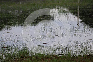 Flooded landscape in a football field, an announcement on the lawn in the rainy season