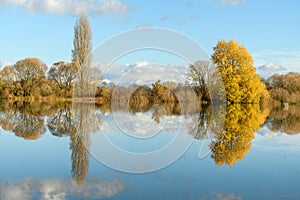 Flooded meadow after heavy rains. Autumn landscape