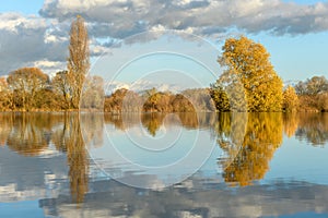 Flooded meadow after heavy rains. Autumn landscape