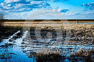 Flooded meadows