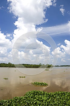 Flooded muddy river