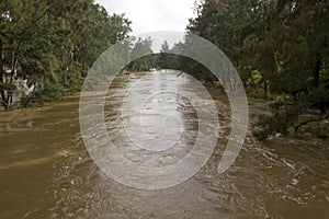 Flooded Nepean River