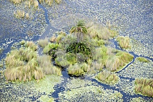 Flooded Okavango Delta