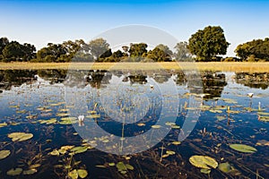 Flooded Okavango Delta