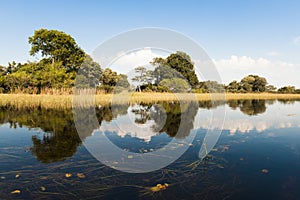 Flooded Okavango Delta
