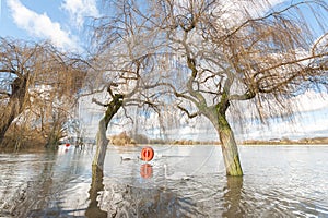 Flooded parkland