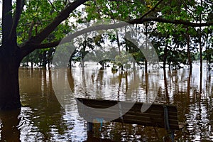 Flooded parkland in Sydney, New South Wales