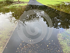 Flooded pedestrian walkway after heavy rain. Trees reflect on water