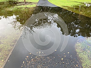 Flooded pedestrian walkway after heavy rain. Trees reflect on water