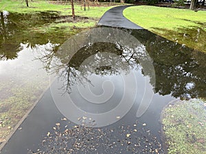 Flooded pedestrian walkway after heavy rain. Trees reflect on water