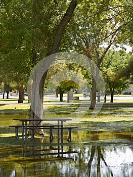 Flooded Picnic Area, Monsoon in Phoenix, AZ