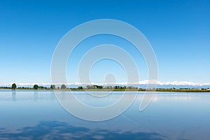 Flooded rice field, Lomellina (Italy) photo