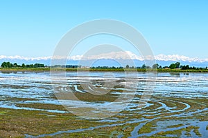 Flooded rice field, Lomellina (Italy) photo