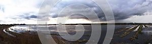 Flooded rice field for sowing with clouds.Albufera Valencia