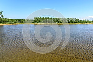 Flooded rice fields, Lomellina (Italy)