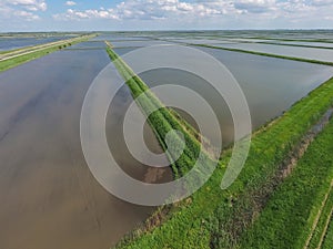 Flooded rice paddies. Agronomic methods of growing rice in the f