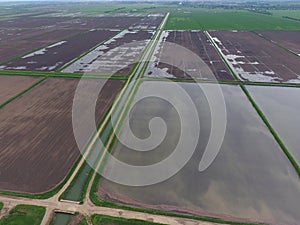 Flooded rice paddies. Agronomic methods of growing rice in the fields.