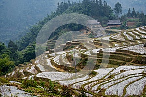 Flooded rice terraces of Sapa in the winter