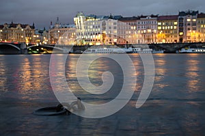 Flooded river bank of Vltava river in the centre of Praque, Czech Republic