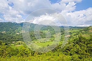 A flooded river in the middle of green and yellow rice fields at the foot of the green mountains, in Asia, in Vietnam, in Tonkin,