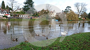 Flooded river Severn riverbank