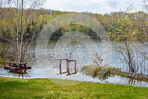 Flooded Shoreline of Northwoods Wisconsin Lake