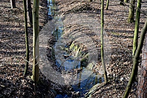 flooded stream led to a narrow riverbed where the water drains quickly, the bends must be laid out with a stone so that water ero