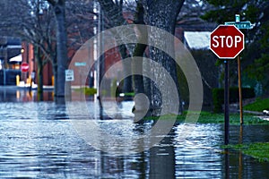 Flooded Street photo