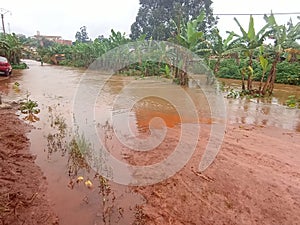 Flooded street in a district of dschang