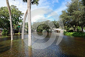 Flooded streets in Fort Lauderdale