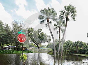 Flooded streets in Fort Lauderdale