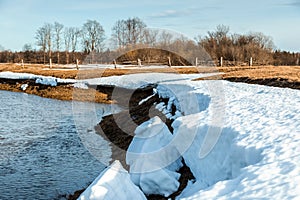 Flooded trees and frozen water in the floodplain of the river at the thaws.