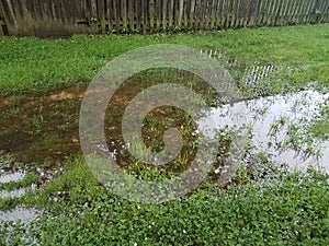 Flooded yard or lawn with puddle and water and fence photo