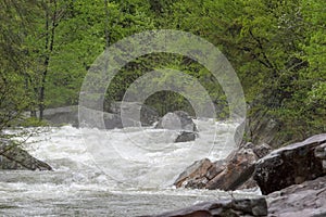 Flooding Creek at Center