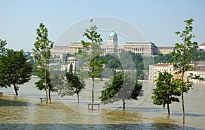 Flooding Danube