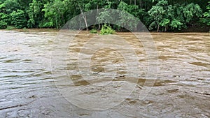 Flooding in forest during the rainy season.