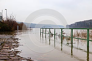 Flooding on the Rhine in Nierstein