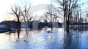 Flooding of river in spring in town during melting of snow. Natural disaster