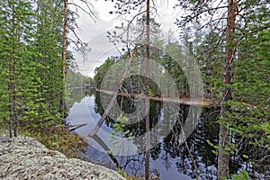 Flooding on the Siberian taiga river